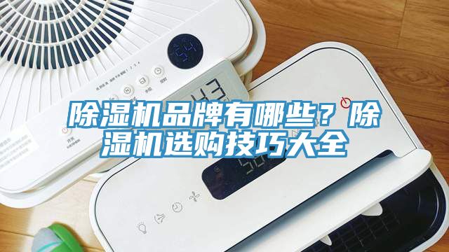 除濕機品牌有哪些？除濕機選購技巧大全