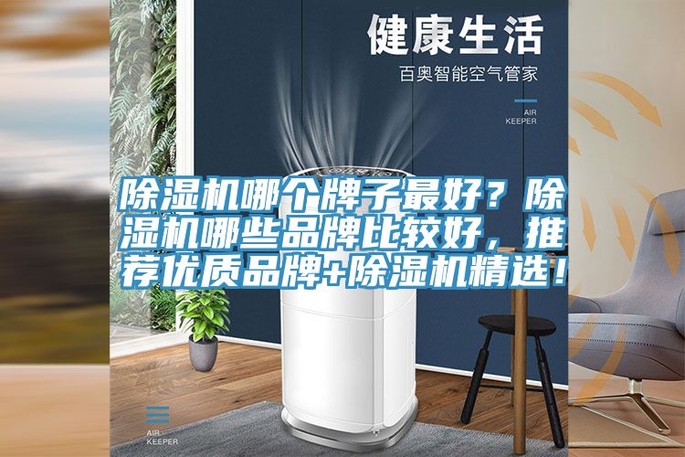 除濕機哪個牌子最好？除濕機哪些品牌比較好，推薦優(yōu)質(zhì)品牌+除濕機精選！