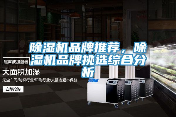 除濕機品牌推薦，除濕機品牌挑選綜合分析