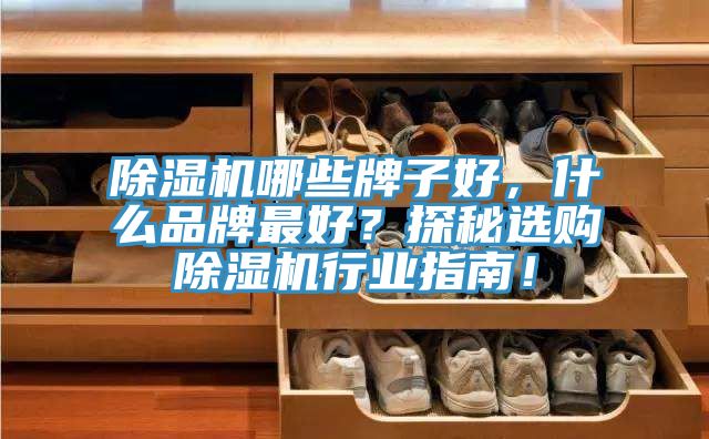 除濕機哪些牌子好，什么品牌最好？探秘選購除濕機行業(yè)指南！