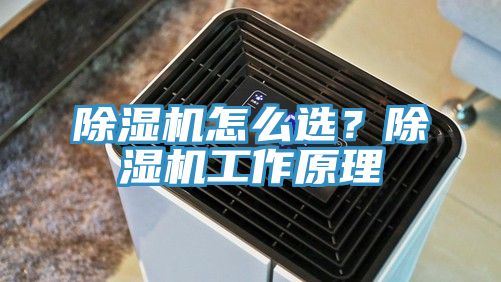 除濕機怎么選？除濕機工作原理