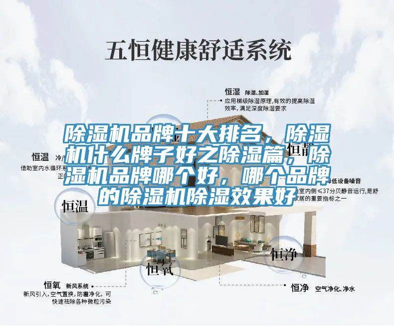 除濕機(jī)品牌十大排名，除濕機(jī)什么牌子好之除濕篇，除濕機(jī)品牌哪個(gè)好，哪個(gè)品牌的除濕機(jī)除濕效果好