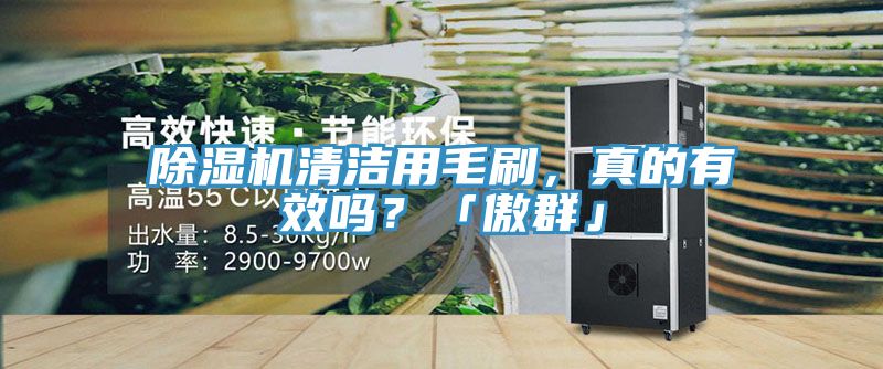 除濕機(jī)清潔用毛刷，真的有效嗎？「傲群」