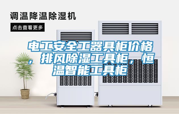 電工安全工器具柜價格，排風(fēng)除濕工具柜，恒溫智能工具柜