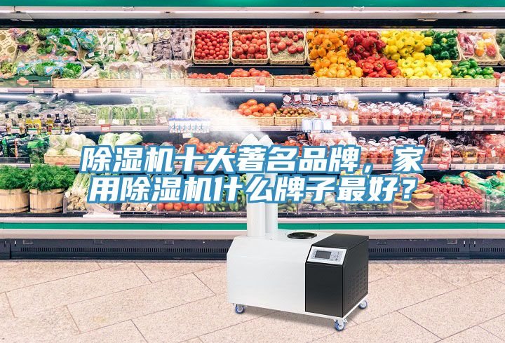 除濕機十大著名品牌，家用除濕機什么牌子最好？