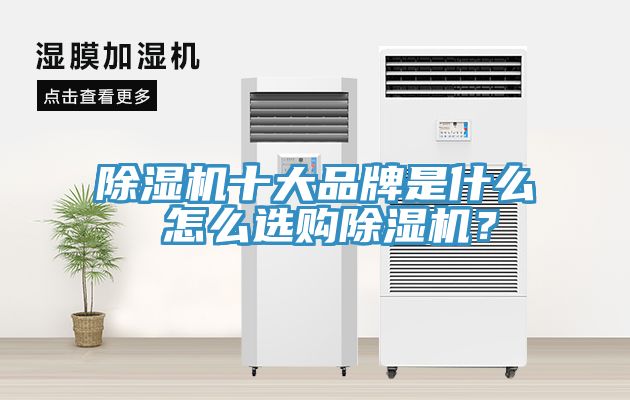 除濕機十大品牌是什么 怎么選購除濕機？