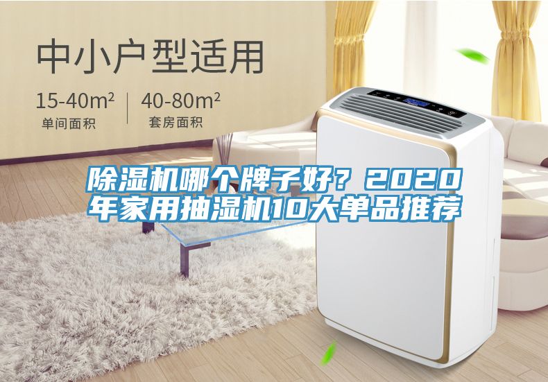 除濕機哪個牌子好？2020年家用抽濕機10大單品推薦