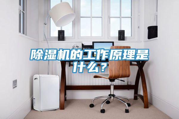 除濕機的工作原理是什么？