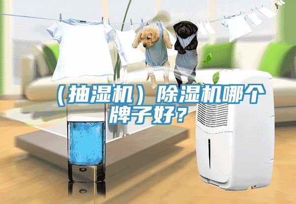 （抽濕機）除濕機哪個牌子好？