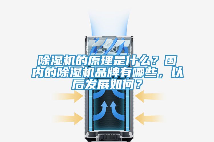 除濕機的原理是什么？國內(nèi)的除濕機品牌有哪些，以后發(fā)展如何？