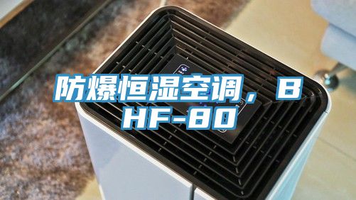 防爆恒濕空調，BHF-80