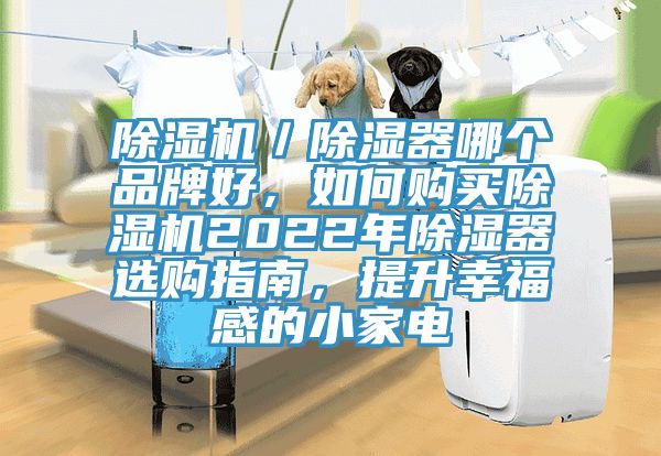 除濕機(jī)／除濕器哪個品牌好，如何購買除濕機(jī)2022年除濕器選購指南，提升幸福感的小家電