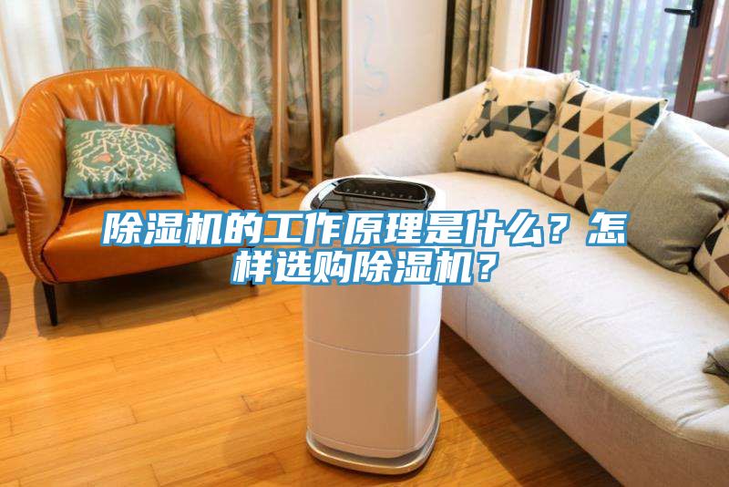 除濕機的工作原理是什么？怎樣選購除濕機？